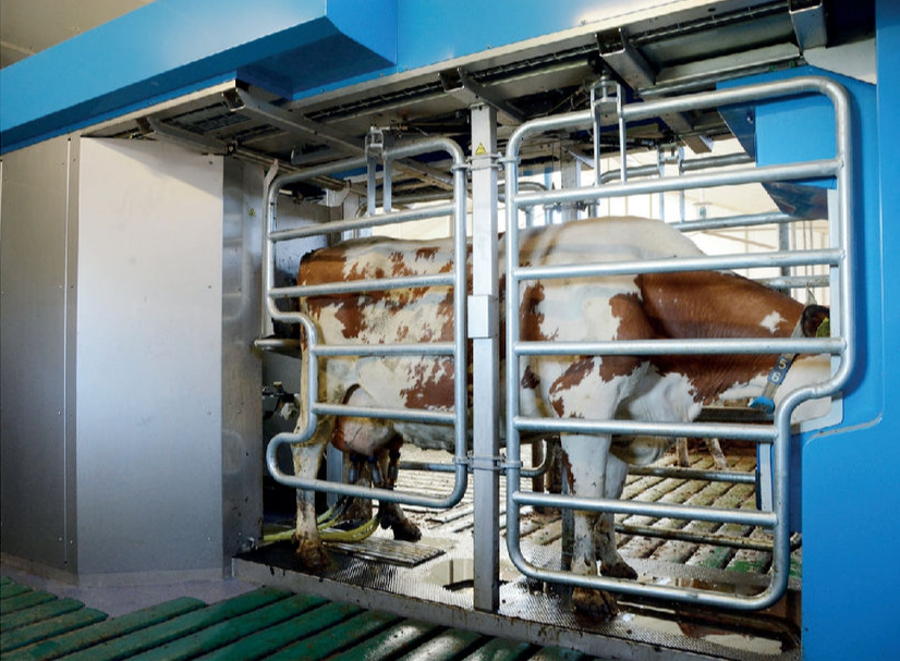 5.101 automatische melksystemen in Nederland | Veehouderij Techniek