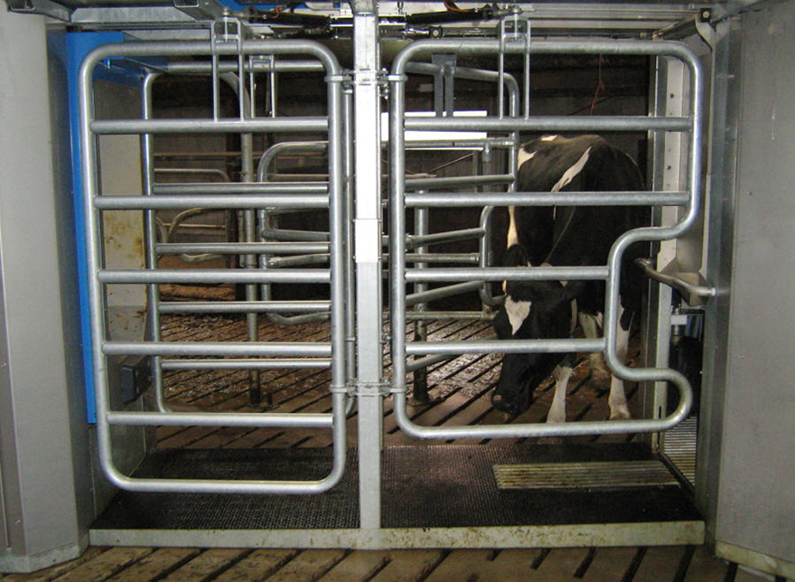 Aantal automatische melksystemen verder gestegen | Veehouderij Techniek