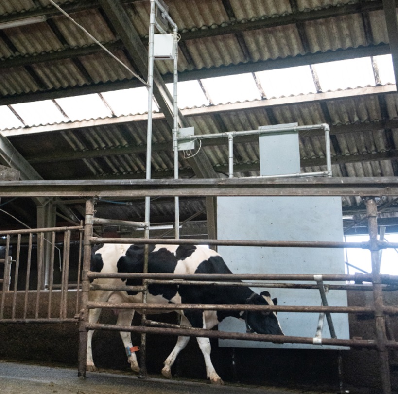 Agromek 2024: Viking controleert koegewicht | Veehouderij Techniek
