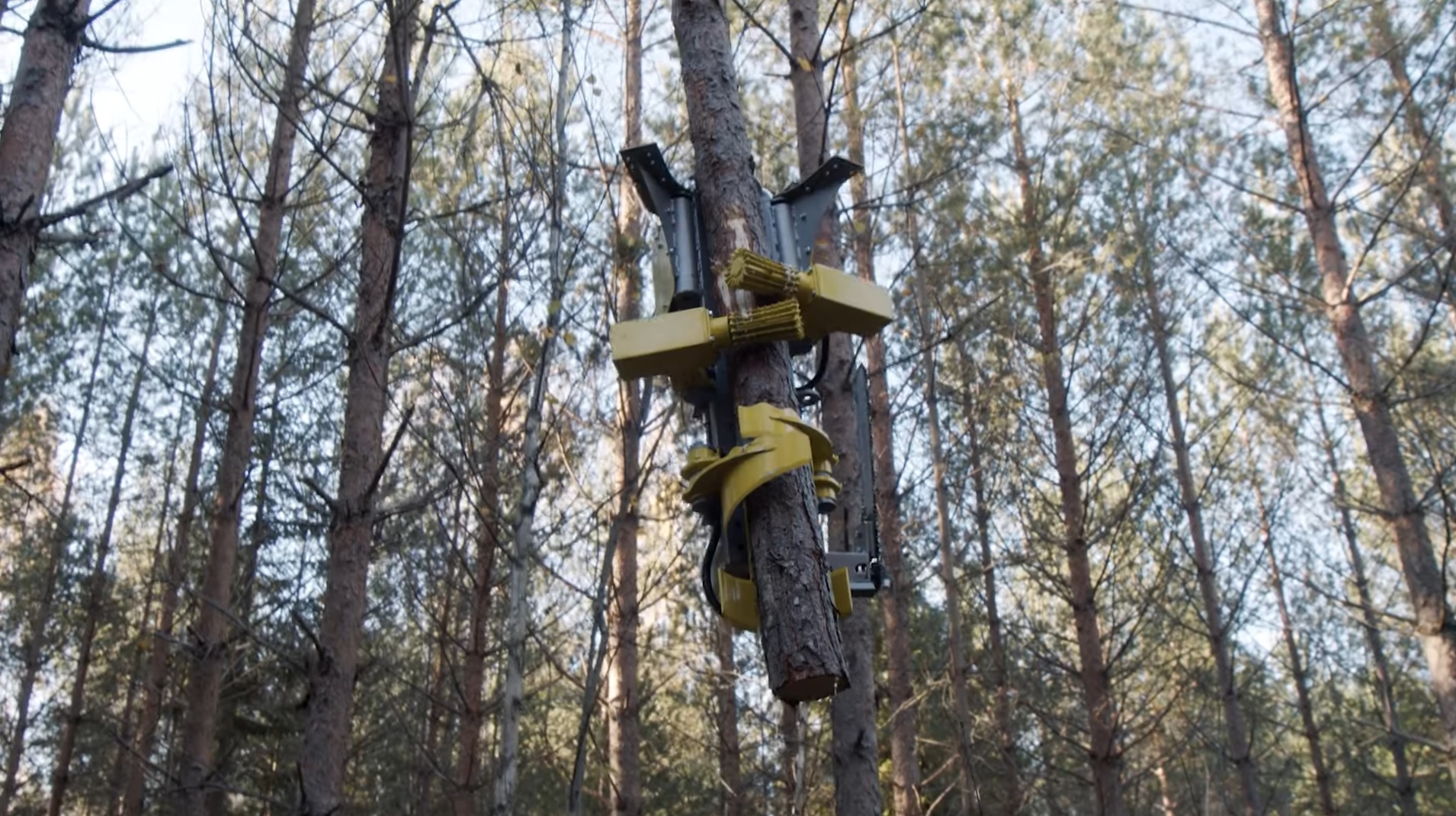 AirForestry wil bomen rooien met drone | Tuin en Park Techniek