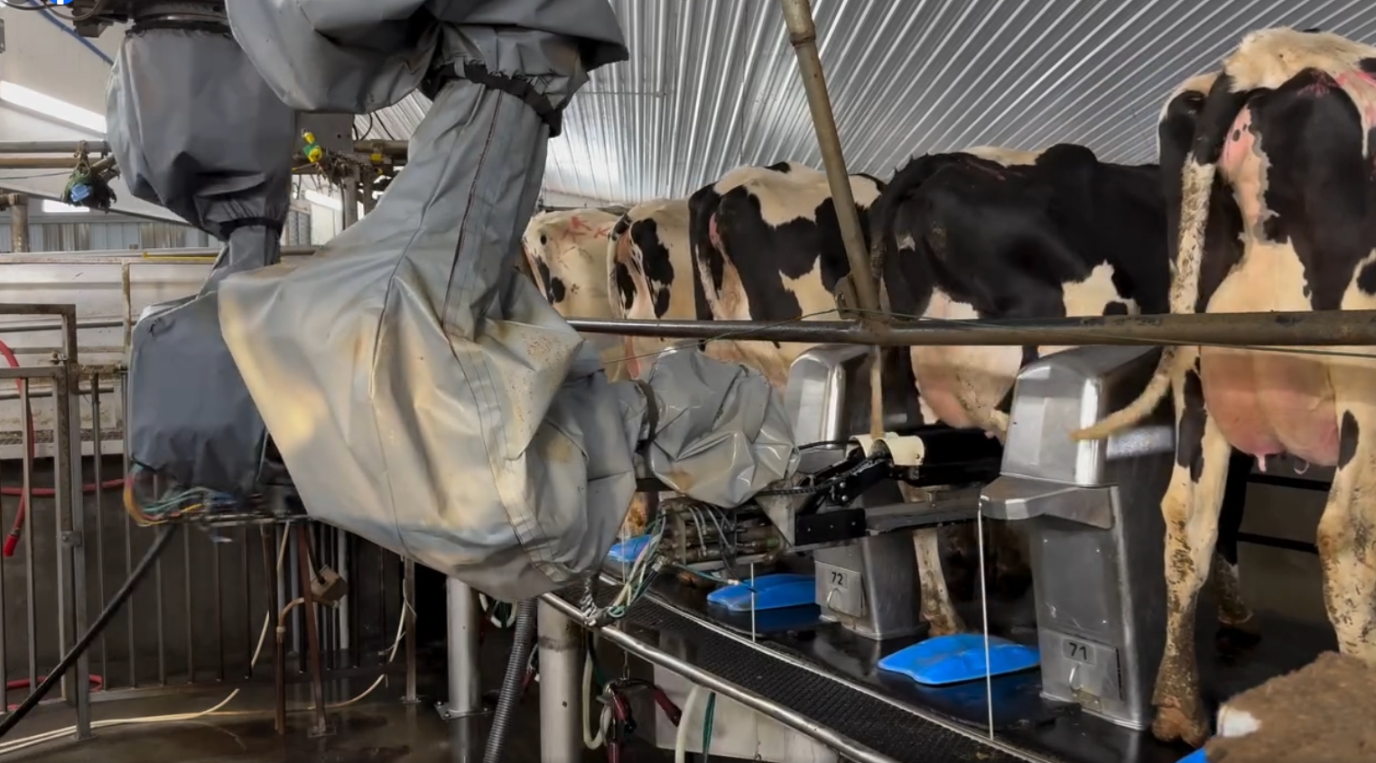 Boumatic en Green Source Automation gaan samenwerken | Mechaman