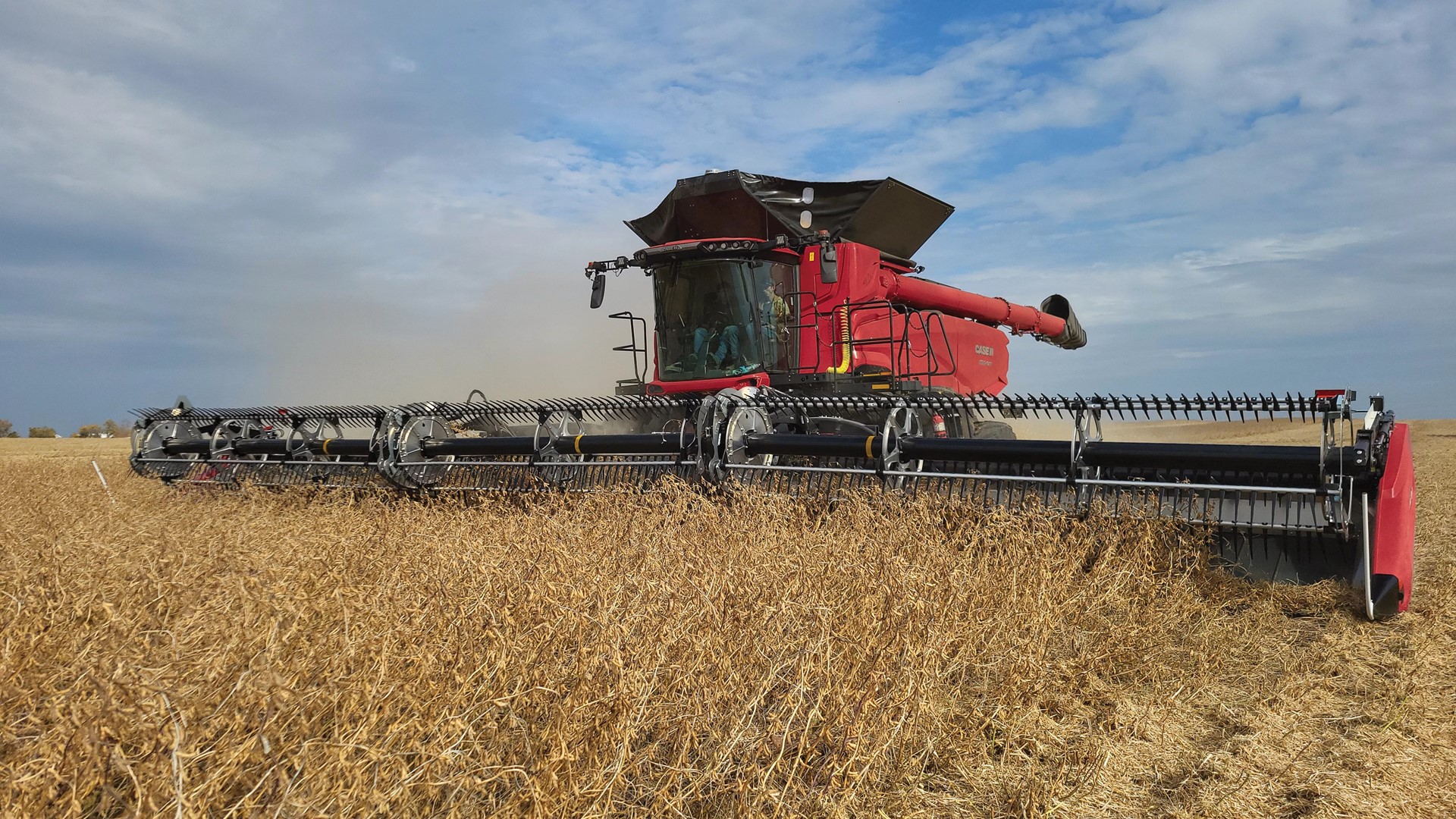 Case IH AF11 dorser met dubbele rotor | LandbouwMechanisatie