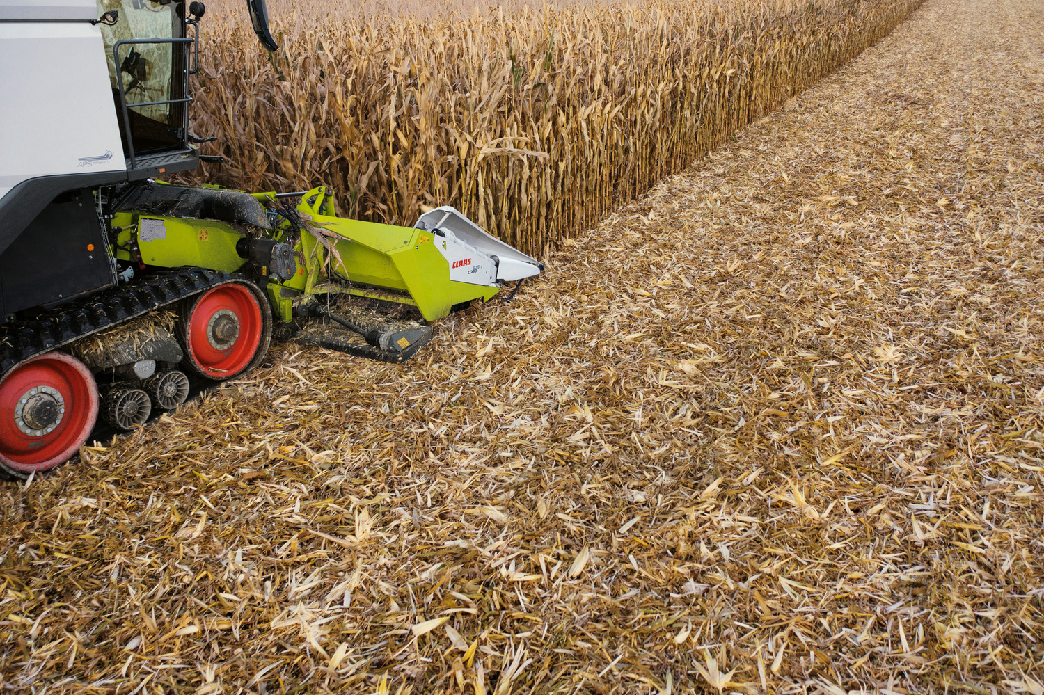 Claas Corio Stubble Cracker vernietigt maisstoppel | LandbouwMechanisatie