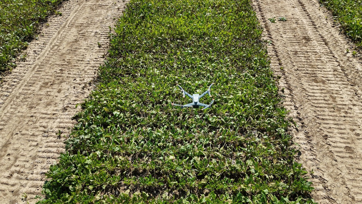 Claas investeert in AI-startup Pheno-Inspect | Mechaman