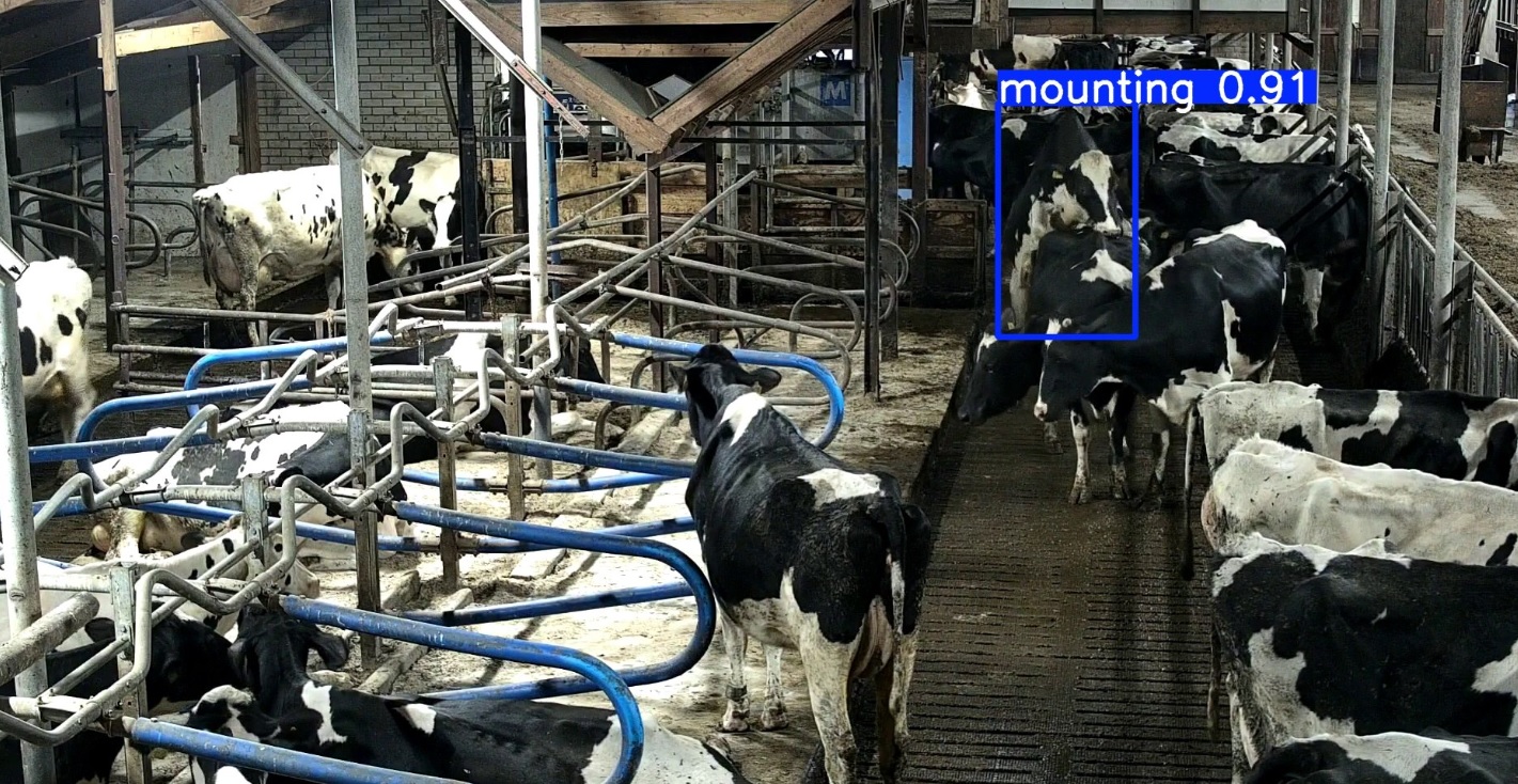 Cowcatcher komt met afkalfdetectie | Veehouderij Techniek Cowcatcher komt met afkalfdetectie | Veehouderij Techniek