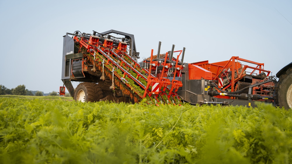 Dewulf bouwt nieuwe drierijige klembandrooier | LandbouwMechanisatie