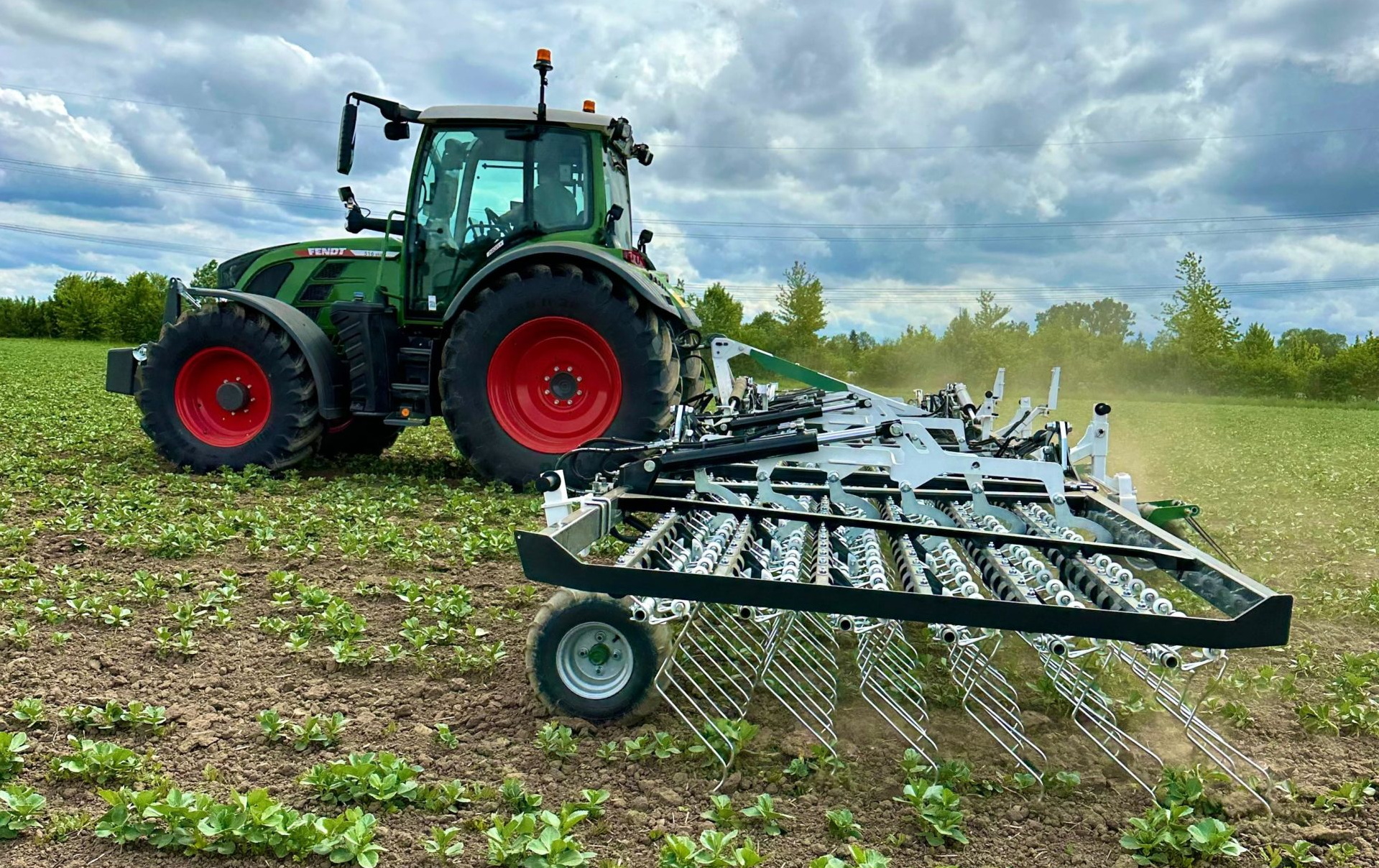 DicksonKerner Variofield Striegel-wiedeg heeft variabele tandafstand | LandbouwMechanisatie