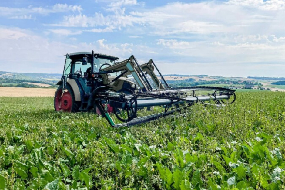 Eenvoudige versie Top Cut-onkruidmaaier | LandbouwMechanisatie