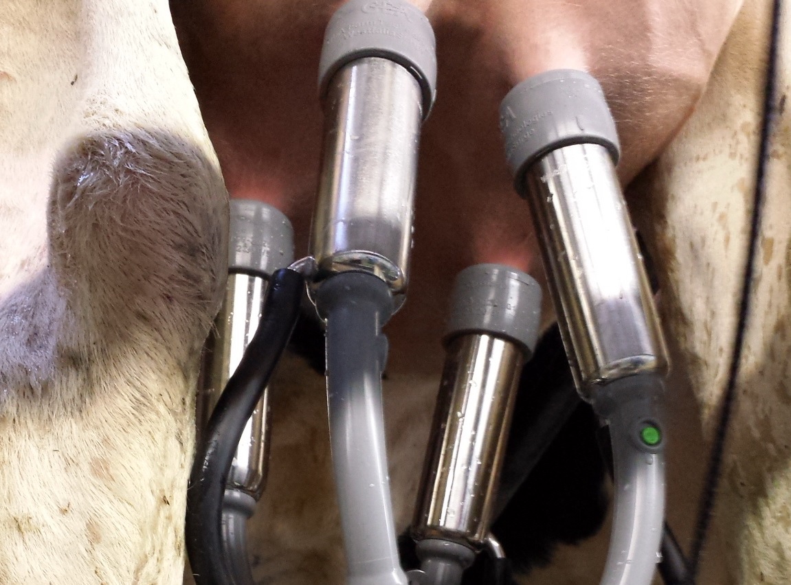 Eurotier 2022: Gouden innovatie award voor GEA AutoDry | Veehouderij Techniek