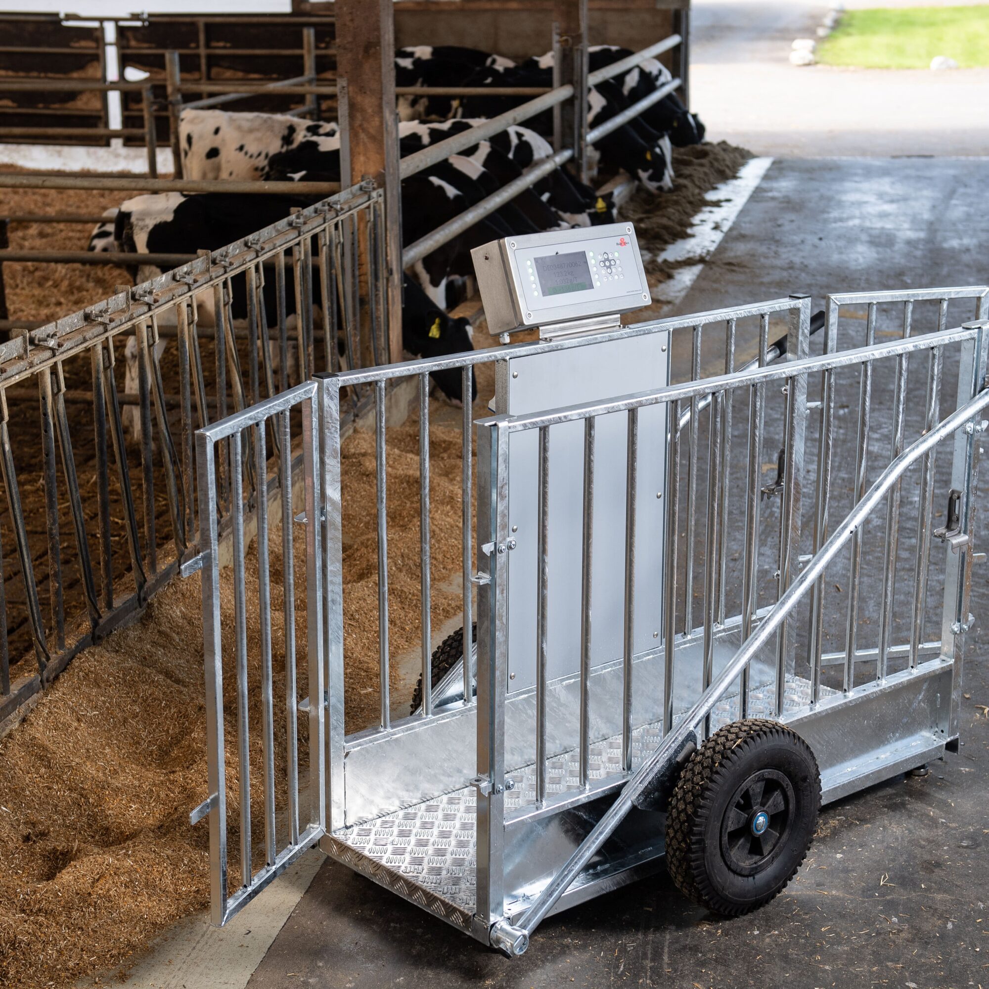 Eurotier 2022: Nieuw weegsysteem voor kalveren van Holm&Laue | Veehouderij Techniek