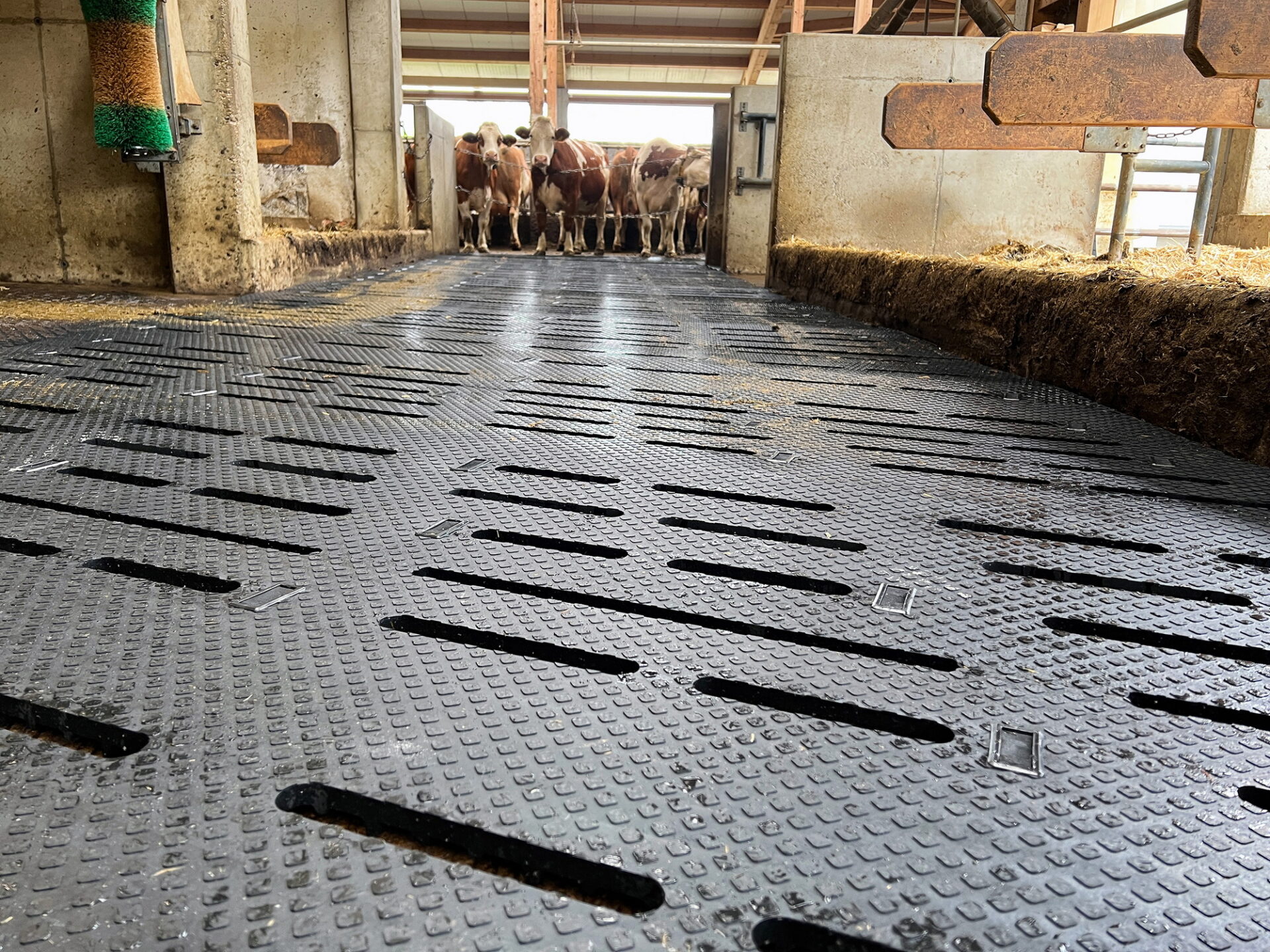 Eurotier 2024: emmisiearme Kraiburg Espaflex rubbermat voor roostervloeren | Veehouderij Techniek