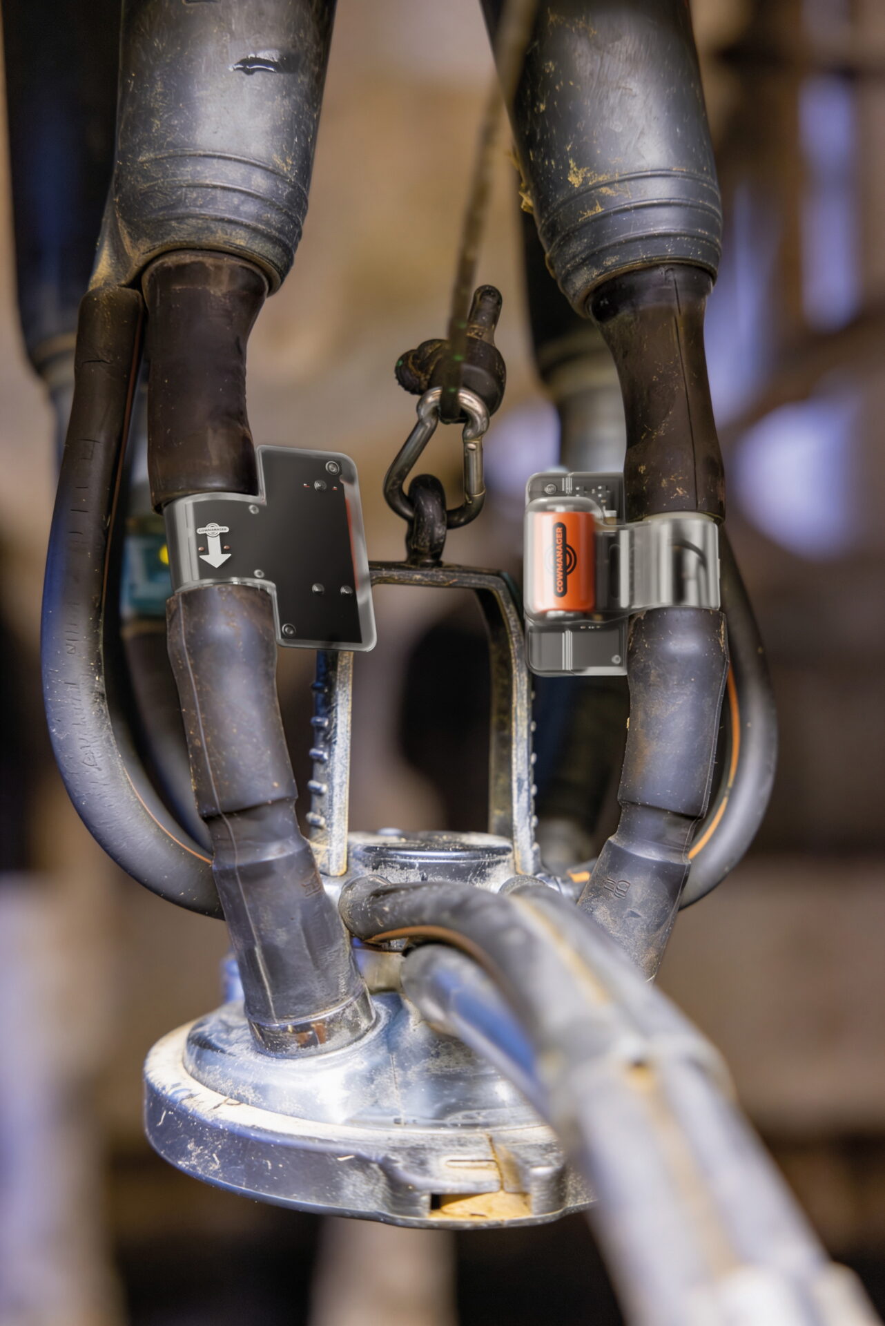 Eurotier 2026: Cowmanager wint zilveren medaille met melksensor | Veehouderij Techniek