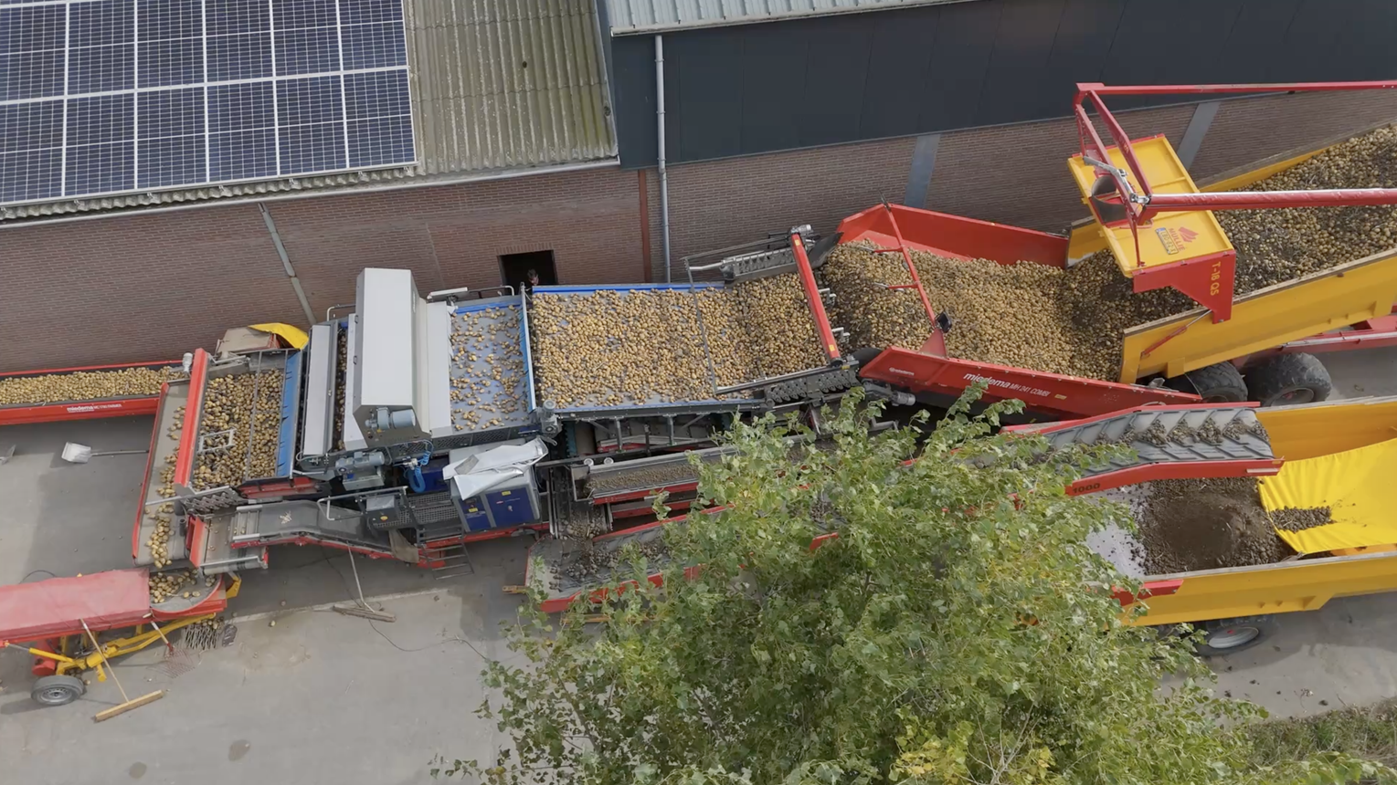 Flikweert Vision presenteert optische voorsorteerder voor boerenpraktijk | LandbouwMechanisatie