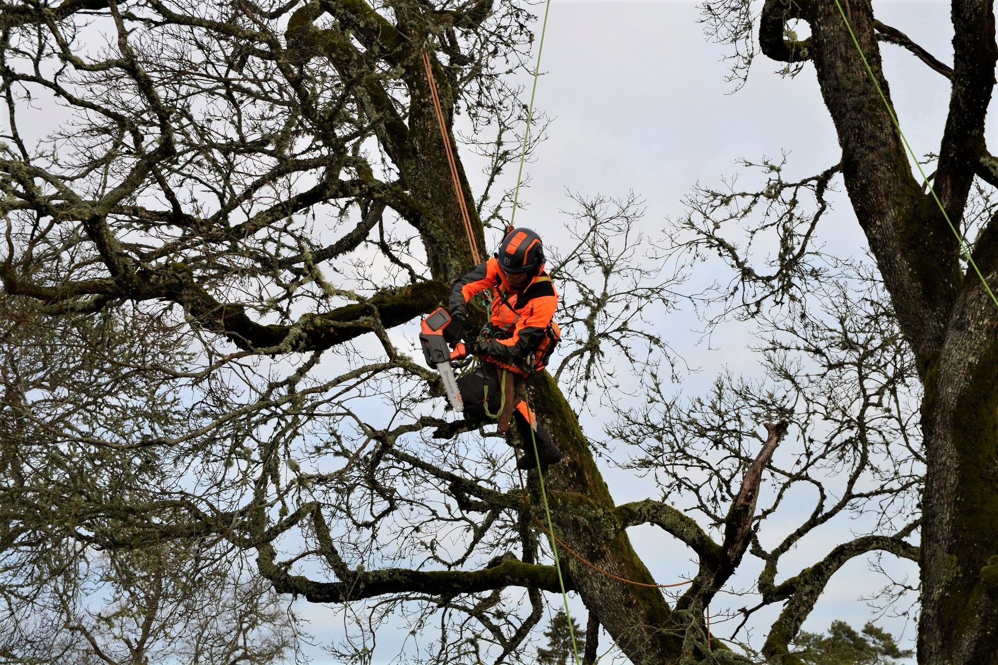 Husqvarna gaat met Teufelberger klimmateriaal ontwikkelen | Tuin en Park Techniek