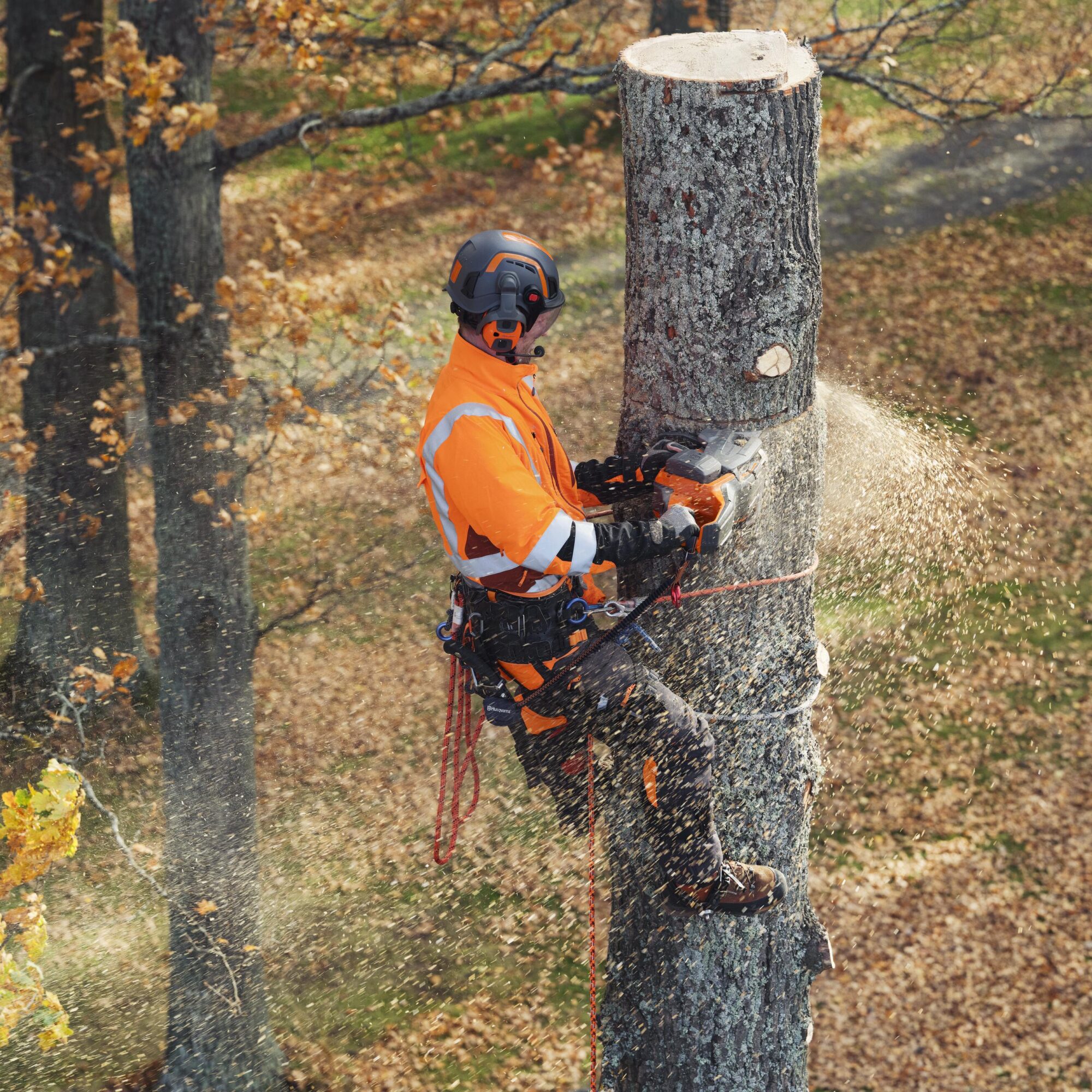 Husqvarna introduceert nieuwe accu- en benzinekettingzaag | Tuin en Park Techniek