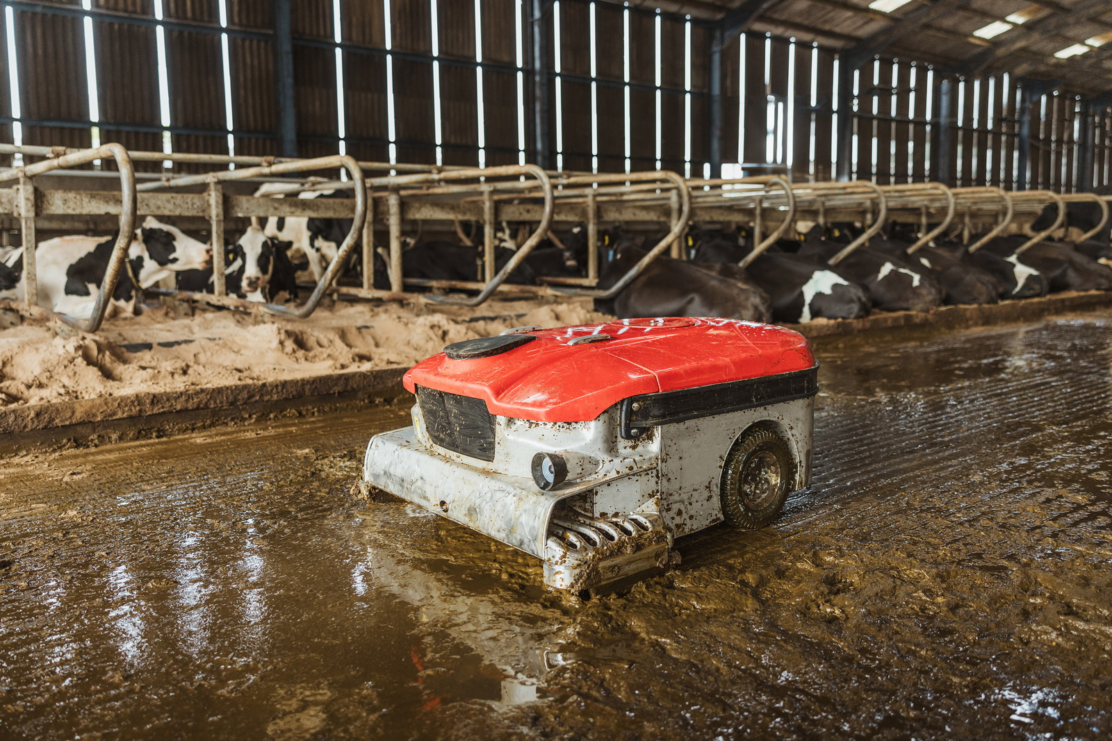 Lely Discovery Collector nu ook geschikt voor zand | Veehouderij Techniek