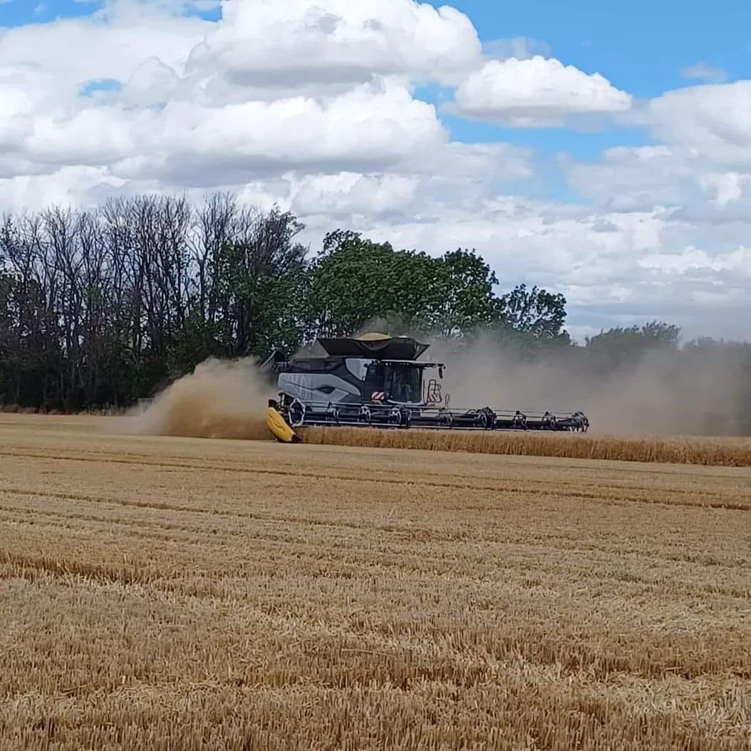 New Holland werkt aan nieuwe topmaaidorser | LandbouwMechanisatie
