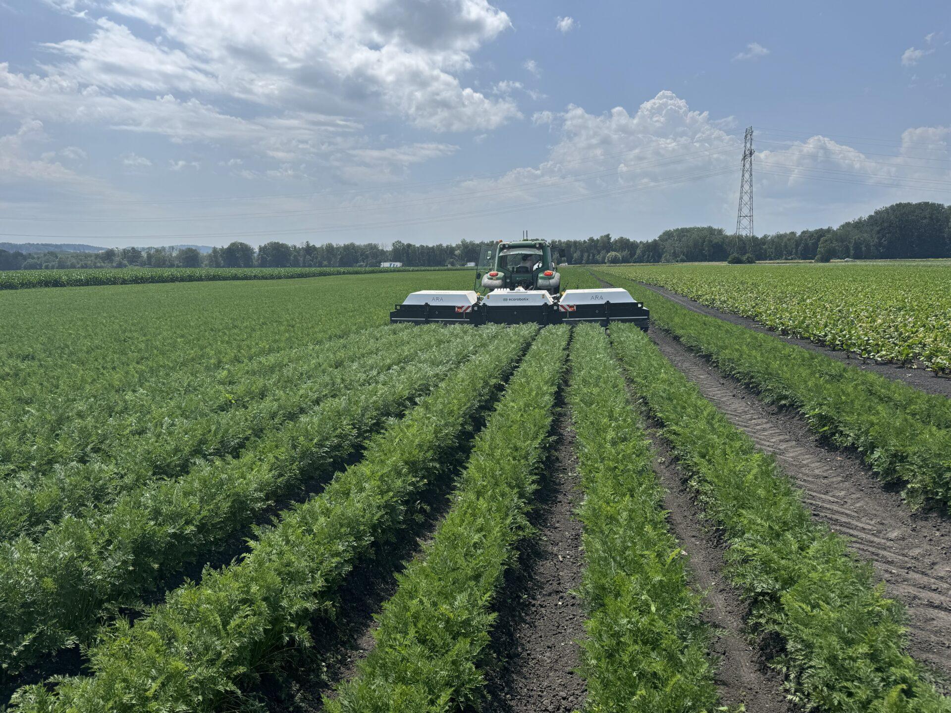 Nieuwe algoritmes voor Ecorobotix Ara spotsprayer | LandbouwMechanisatie