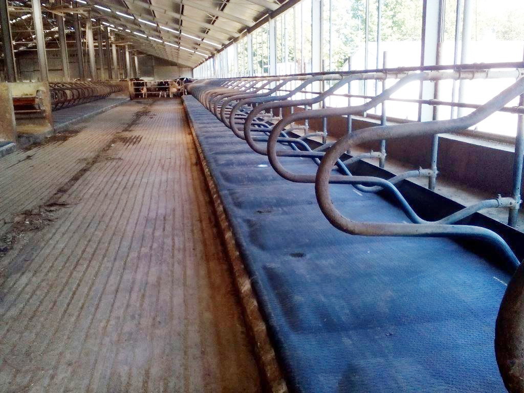 Ontwikkeling innovatie stallen valt stil door prijsstijgingen | Veehouderij Techniek