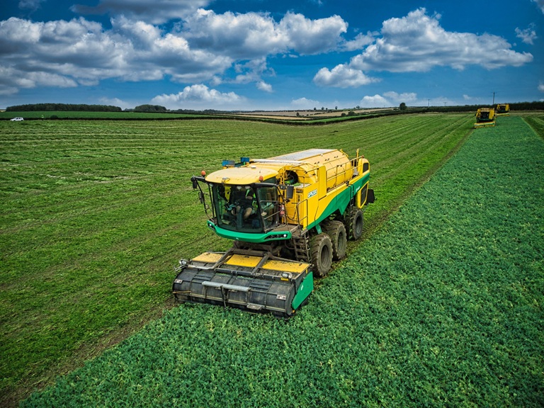 Oxbo bouwt erwtendorser op zeswielig onderstel | LandbouwMechanisatie
