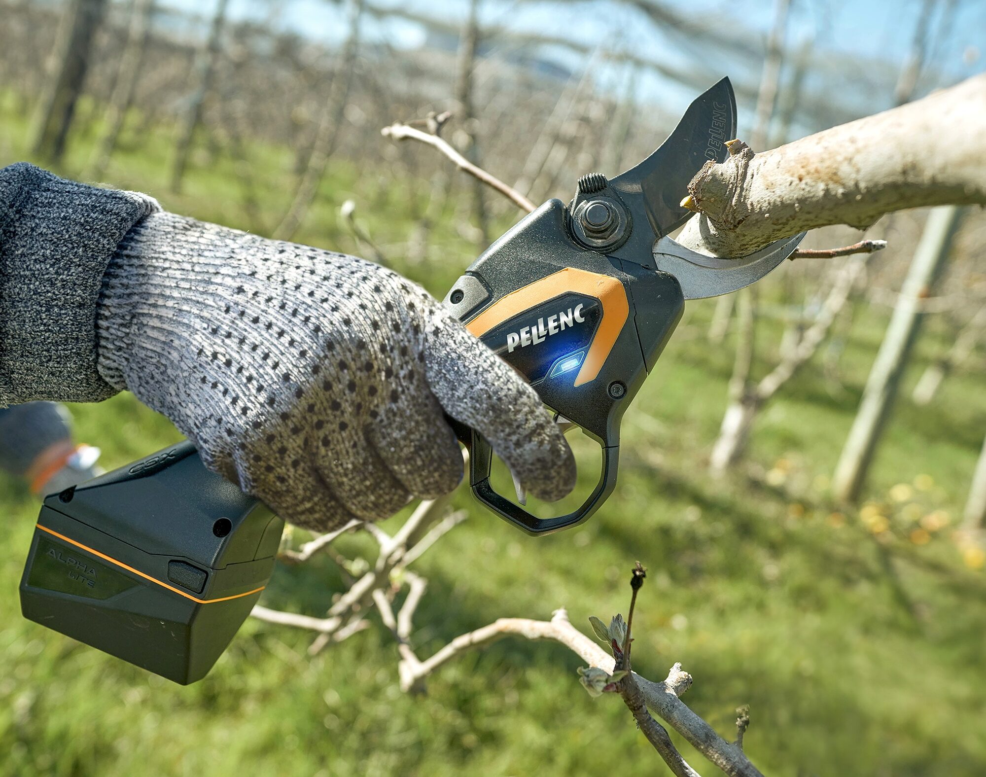 Pellenc komt met eerste snoerloze snoeischaar | Tuin en Park Techniek