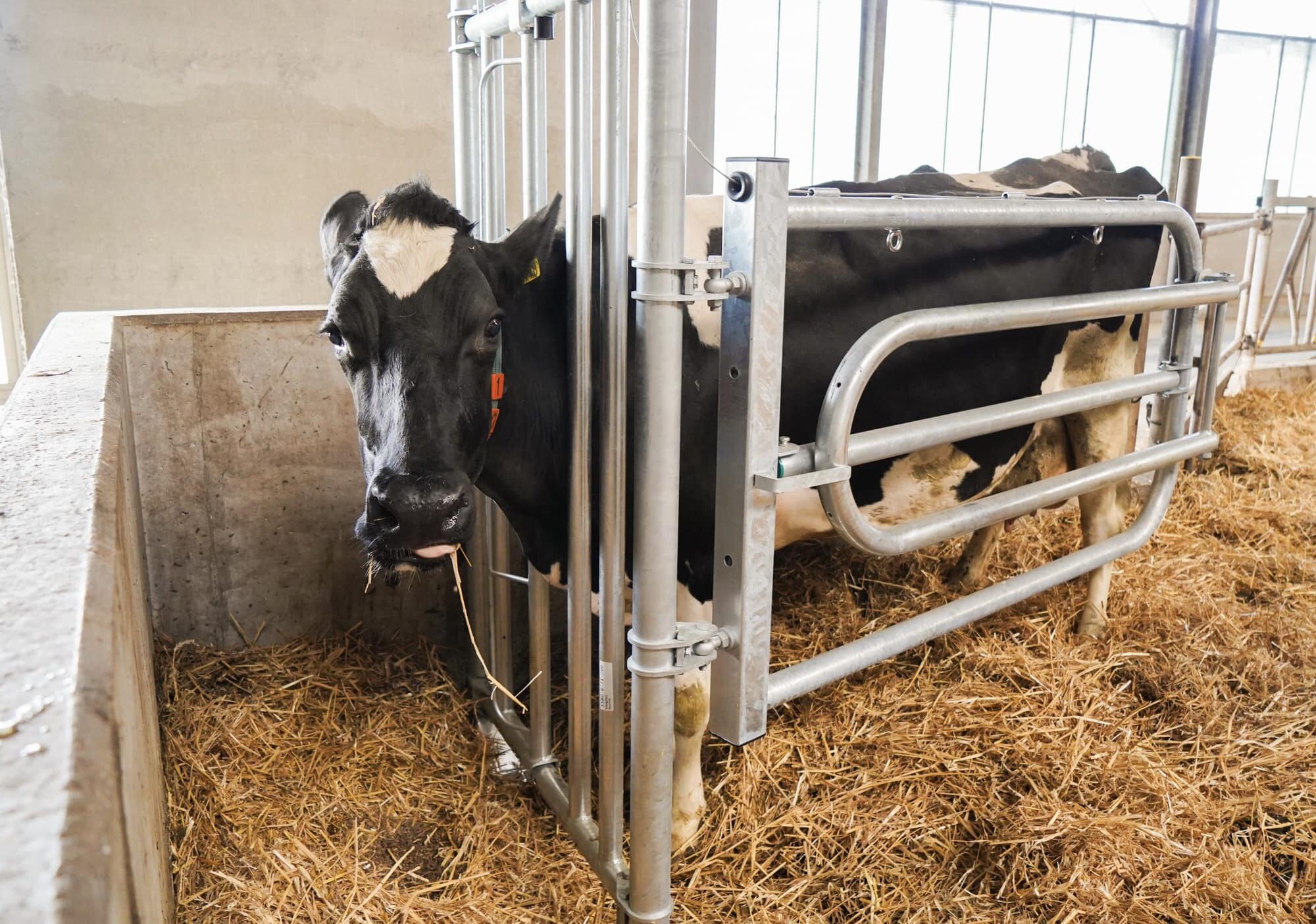 Royal de Boer komt met Vangbox | Veehouderij Techniek