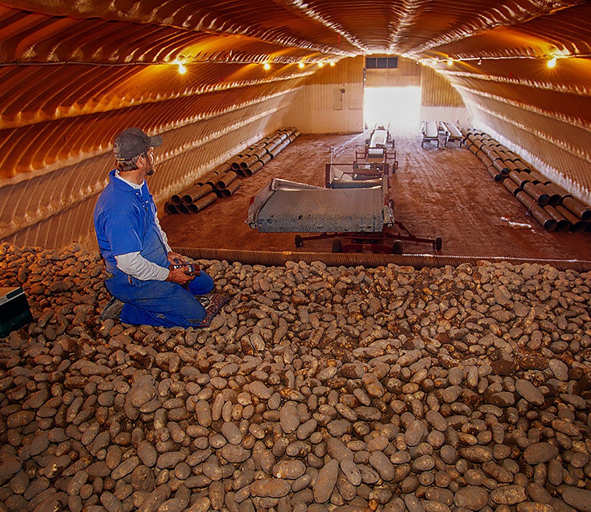 Sensoren geven inzicht in aardappelkwaliteit in bewaarcel | LandbouwMechanisatie