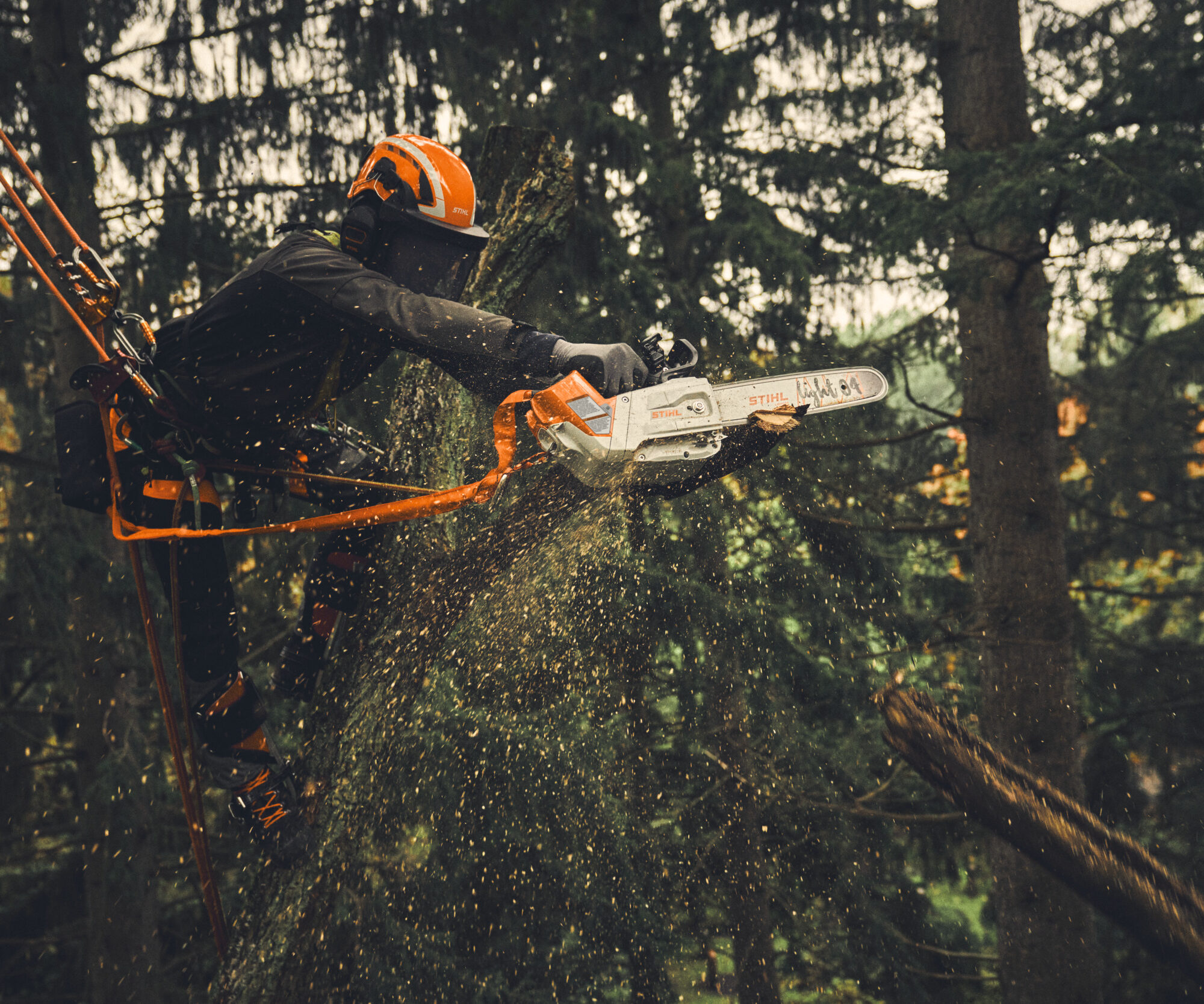 Stihl-adapter reduceert gewicht van tophendelzaag | Tuin en Park Techniek
