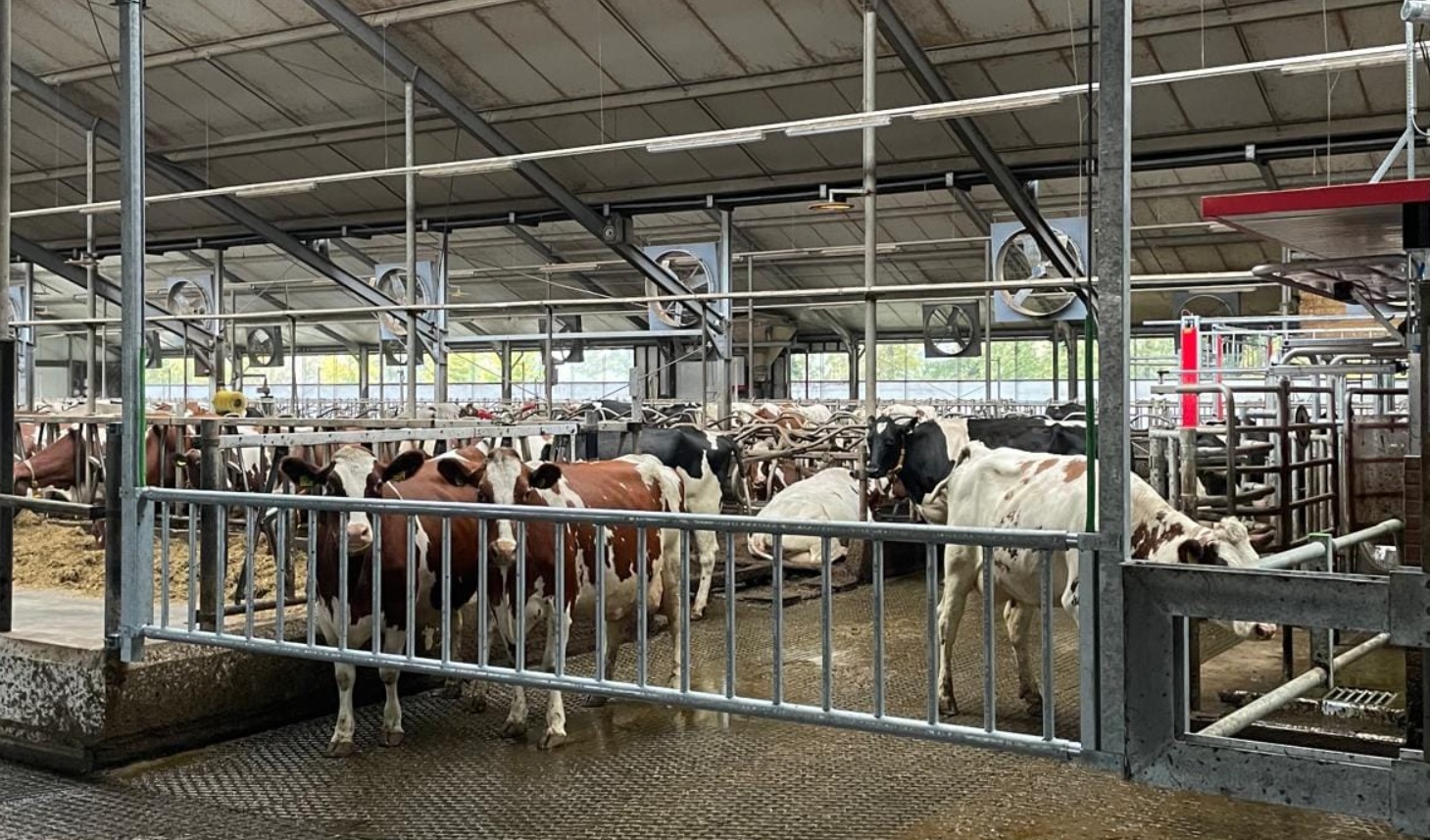 Ten Have Agrotechniek introduceert nieuw elektrisch hefhek | Veehouderij Techniek