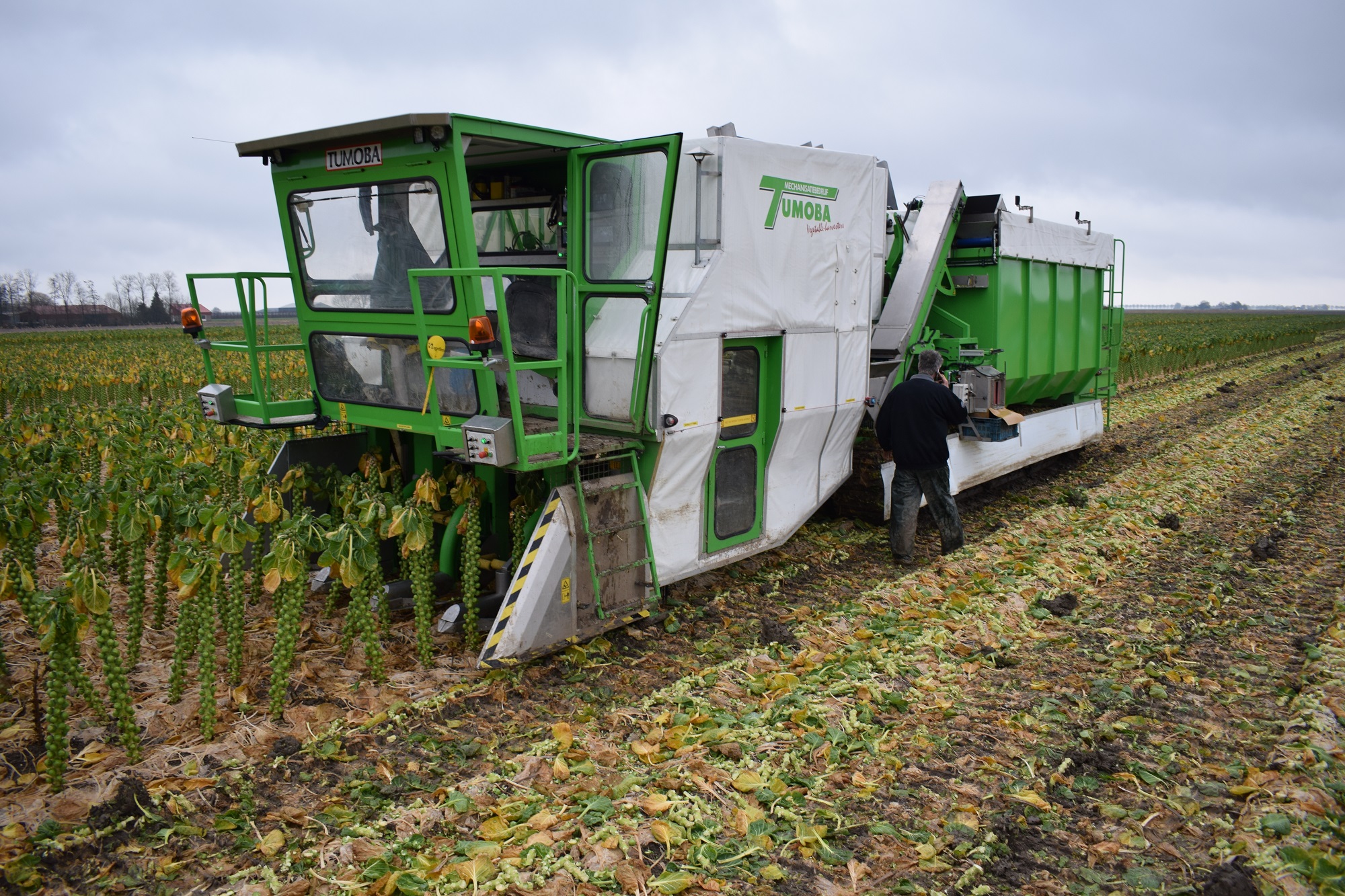 VIDEO: Automatische Tumoba-spruitenplukker | LandbouwMechanisatie
