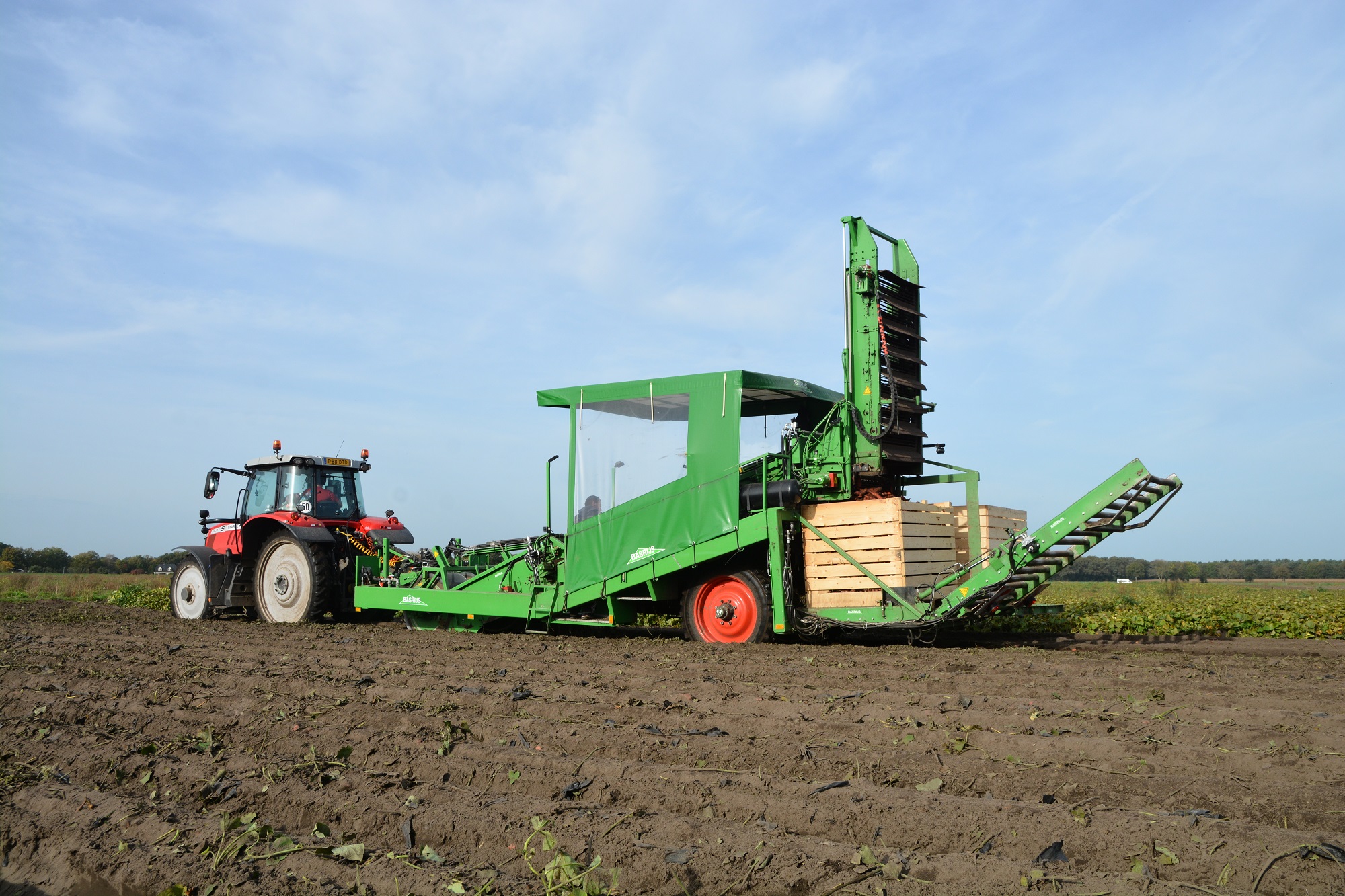 VIDEO: Bataten rooien met tweerijige Basrijs-rooier | LandbouwMechanisatie