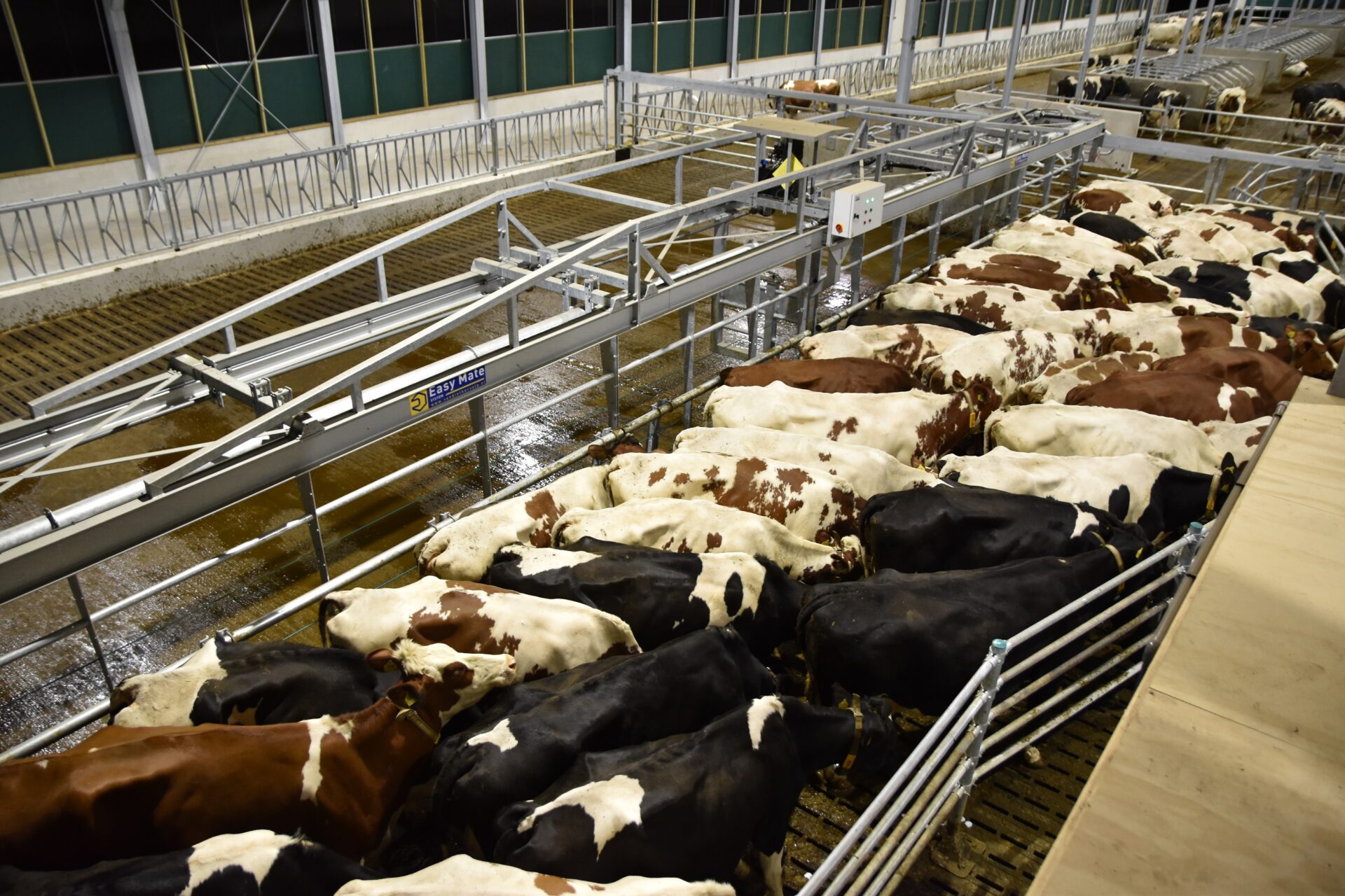 Wachtruimteverkleiner - Tips bij aanschaf opdrijfhek | Veehouderij Techniek