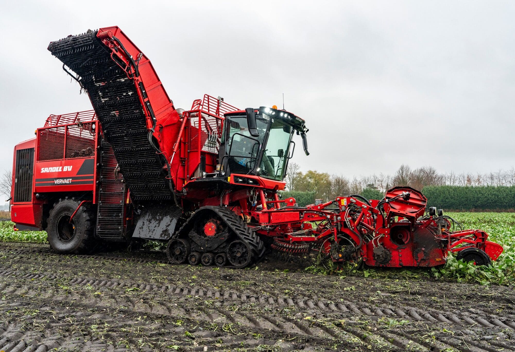 Zuidberg focust op rupsen voor oogstmachines | LandbouwMechanisatie