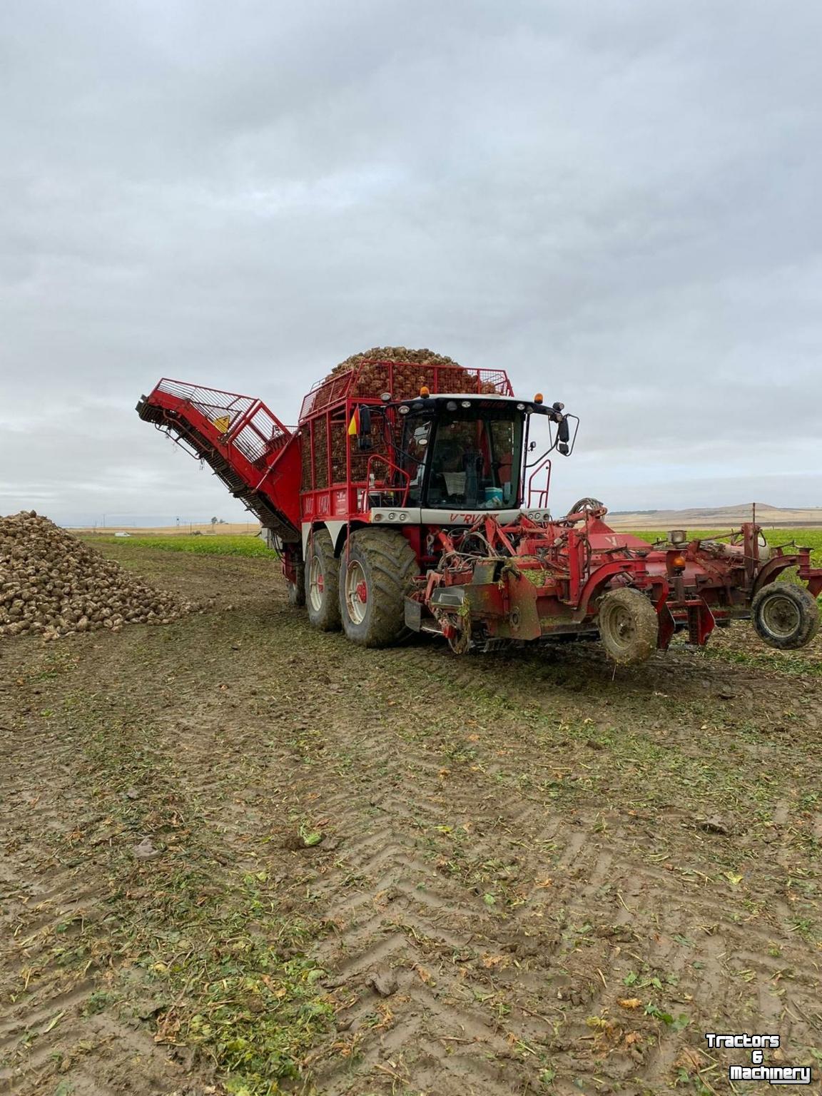 Bietenrooier Vervaet BE625