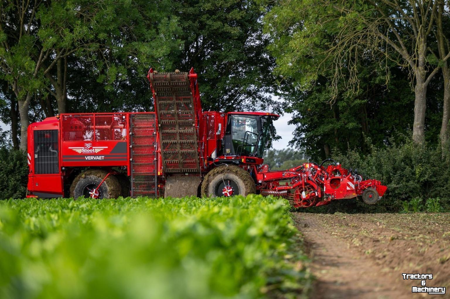 Bietenrooier Vervaet Q616