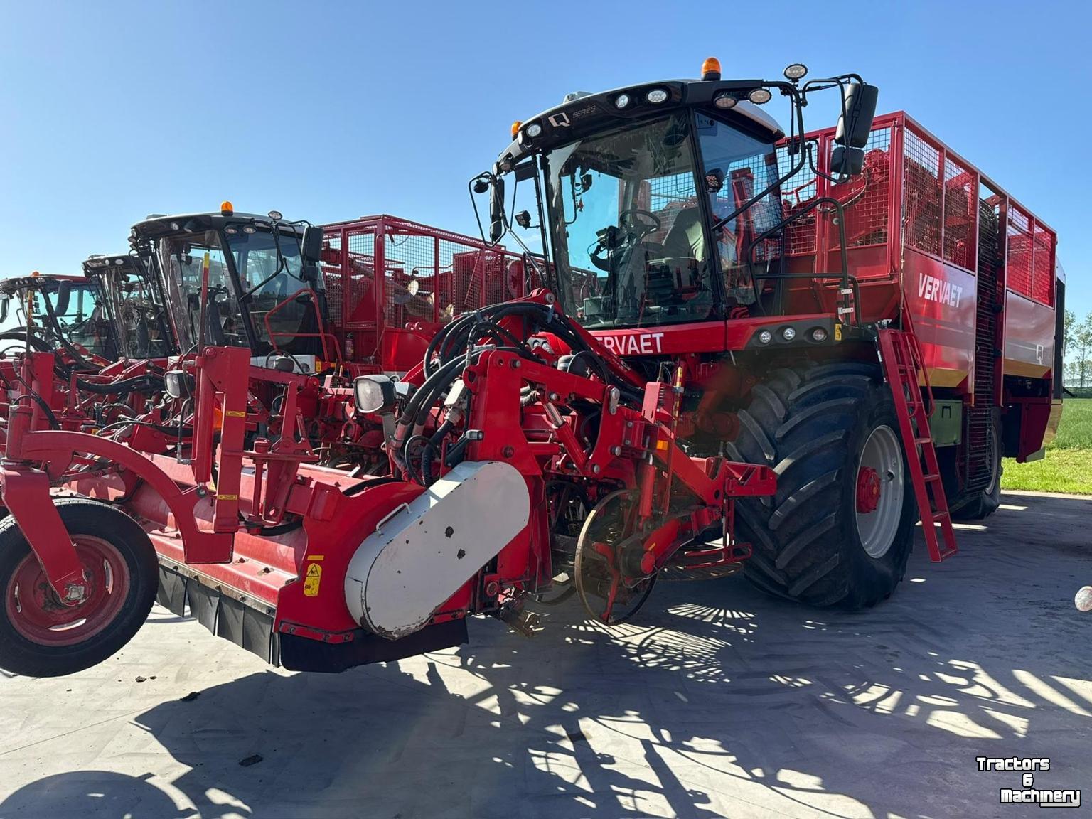 Bietenrooier Vervaet Q616