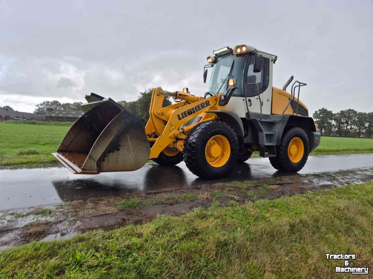 Shovel / Wiellader / Kniklader Liebherr L 524