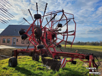 Rugger / Hark / Zwadhark Lely Hibiscus 855 CD