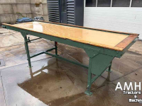 Lees-tafel / Lees-unit  3100X1000 Leesband, Inspection conveyor, Verleseband