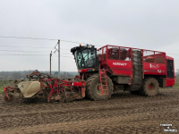 Bietenrooier Vervaet Q616 Rollerbed