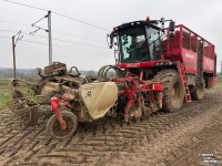 Bietenrooier Vervaet Q616 Rollerbed