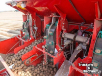 Pootmachine Grimme Grimme GL 420 Exacta Pootmachine 4-Rijen