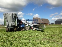 Sla-oogstmachine Van Der Sluis Oogst rupsmachine / Sla oogstmachine