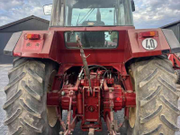 Tractor / Trekker  International 1455xl
