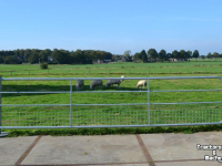 Overige weidebouwmachines en toebehoren Qmac LANDHEK 1/2 GAAS 5.00 M