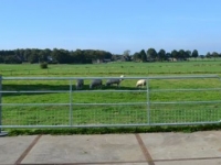Overige weidebouwmachines en toebehoren Qmac HW500G Landhek / Weidehek