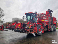 Bietenrooier Holmer Terra Dos T4-40