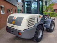 Shovel / Wiellader / Kniklader Terex TL 80