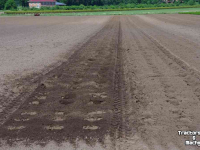 Overige boomkwekerijmachines en toebehoren Ezendam Globus PGB03