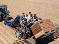 Aardappelrooier SU-Tech aardappellader
